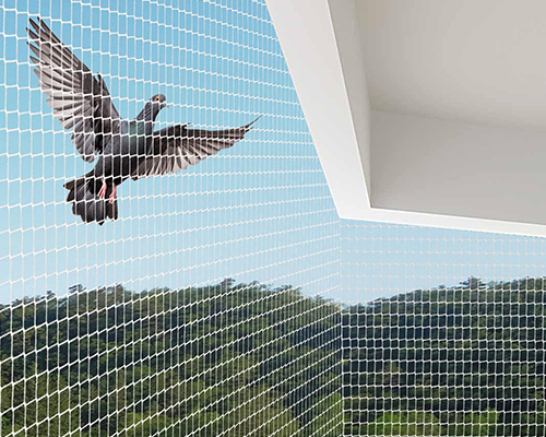 Bird Net Installation